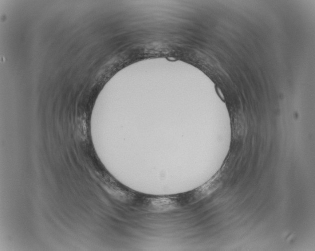 X0000071770183200607282222