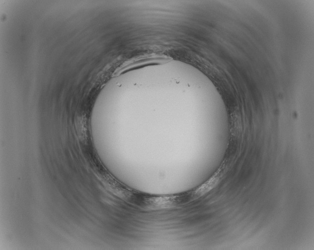 X0000071770184200607282222