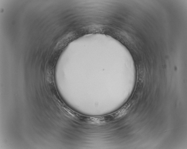 X0000071770185200607282222