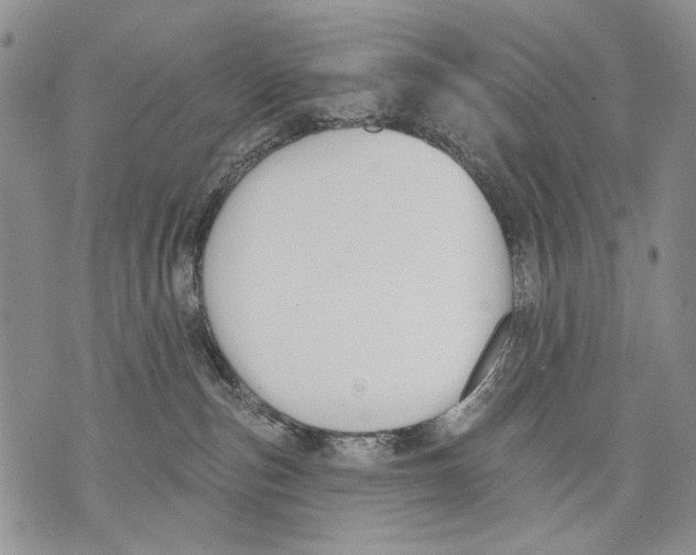 X0000071770187200607282222