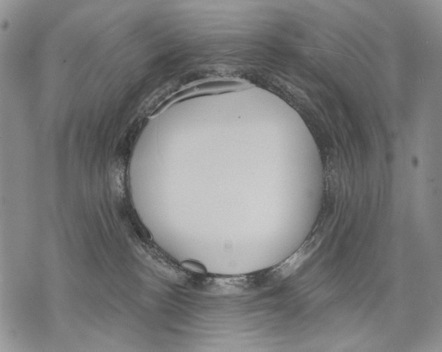 X0000071770188200607282222