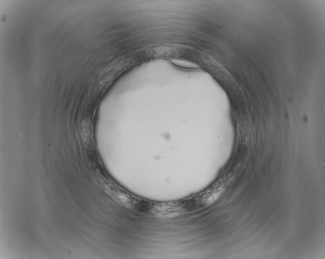 X0000071770189200607282222