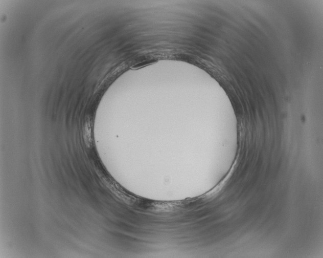 X0000071770190200607282222