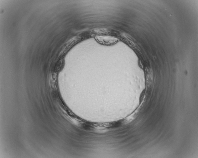 X0000071770191200607282222