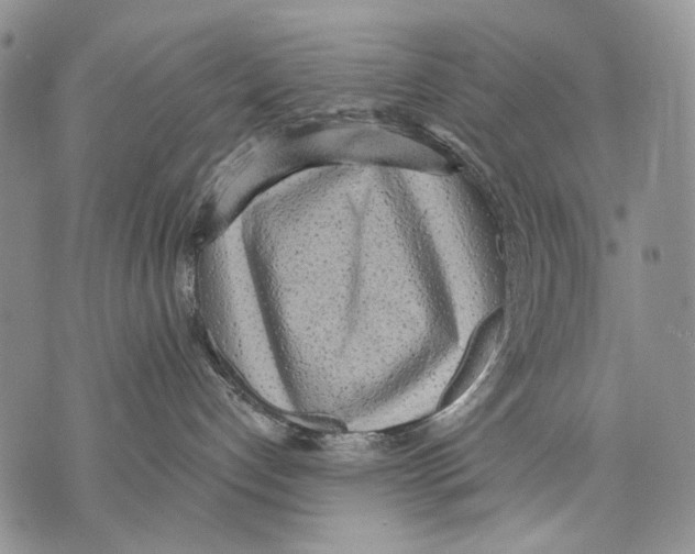 X0000071770192200607282222