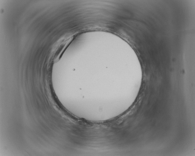 X0000071770193200607282221