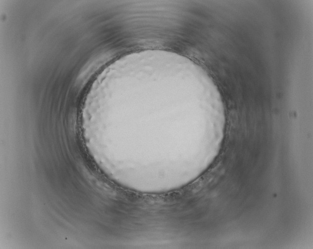 X0000071770194200607282221