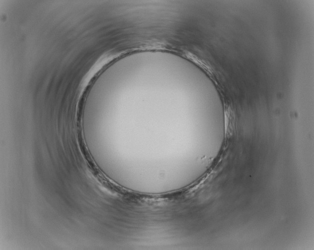 X0000071770195200607282221