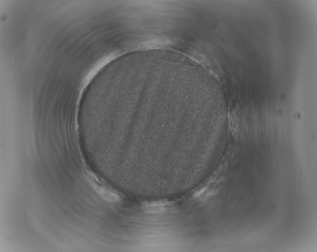 X0000071770196200607282221