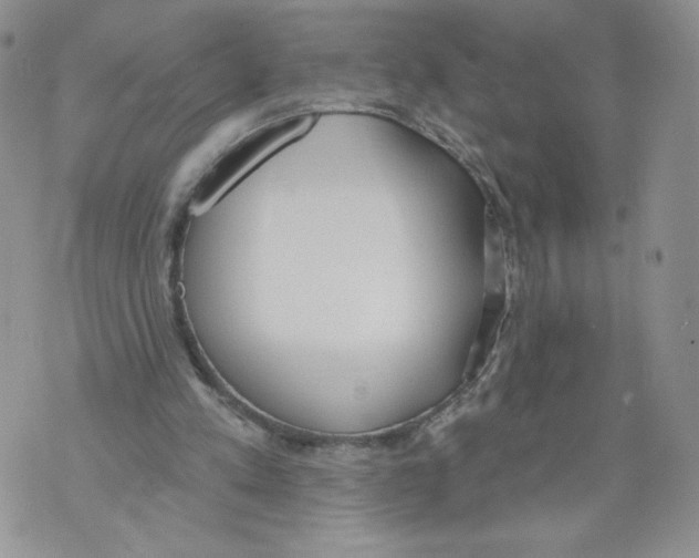 X0000071770197200607282221