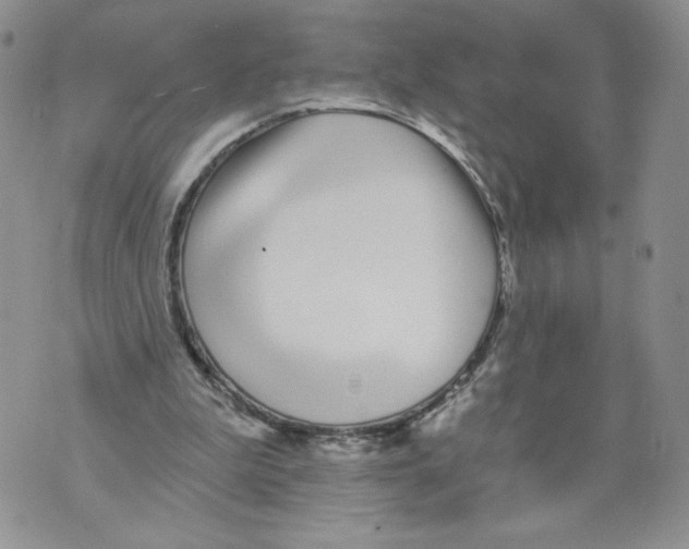 X0000071770199200607282221