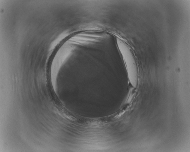 X0000071770200200607282221