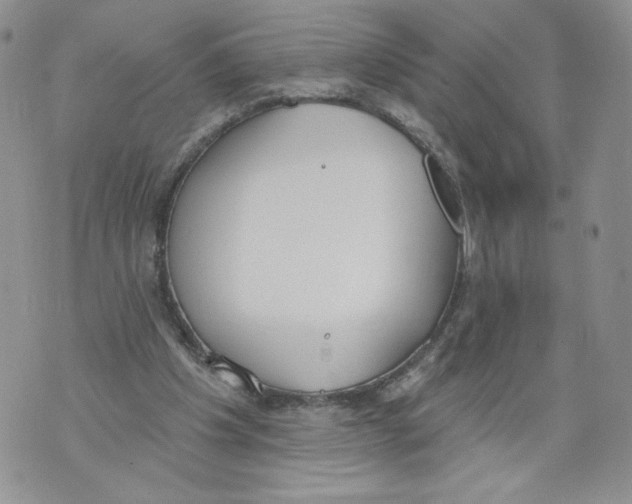 X0000071770201200607282221