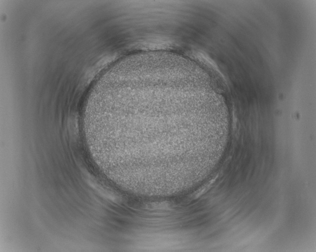 X0000071770202200607282221