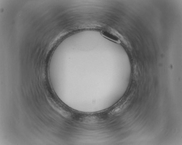 X0000071770203200607282221