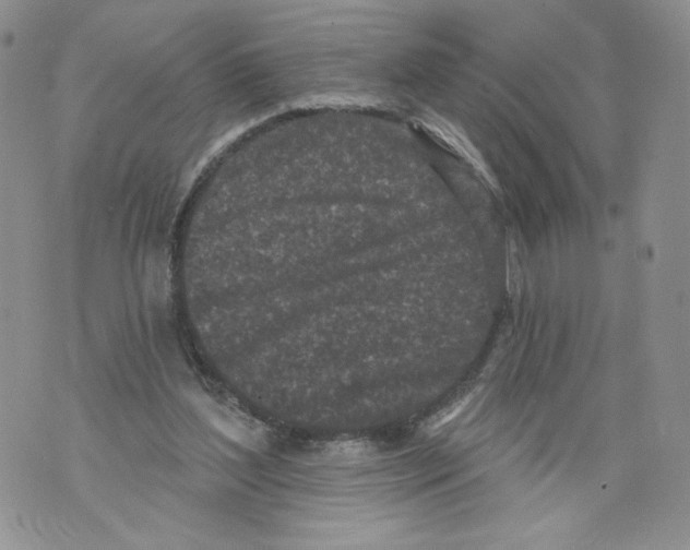 X0000071770204200607282221