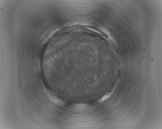 X0000071770205200607282221