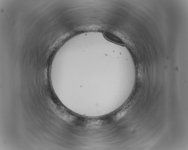 X0000071770206200607282221