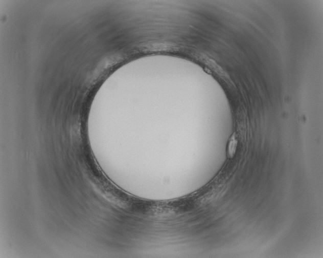 X0000071770207200607282221