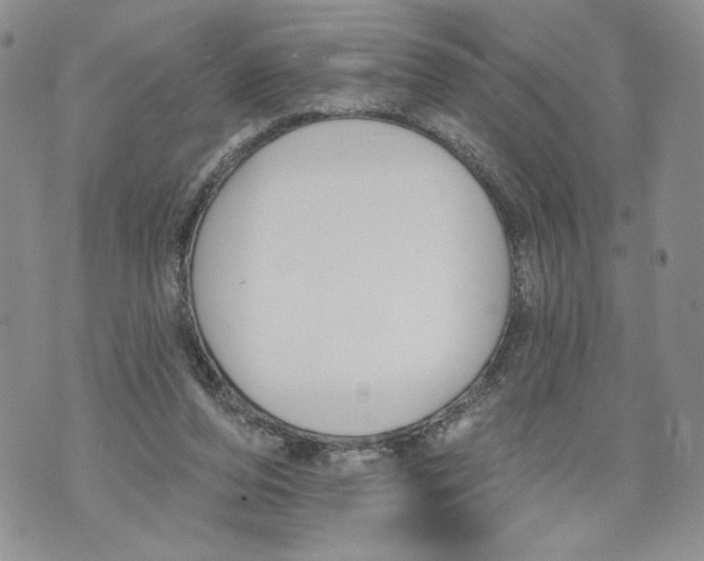 X0000071770208200607282221