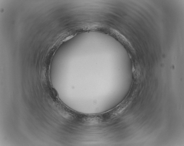 X0000071770209200607282221