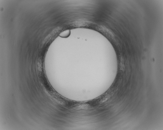 X0000071770210200607282221