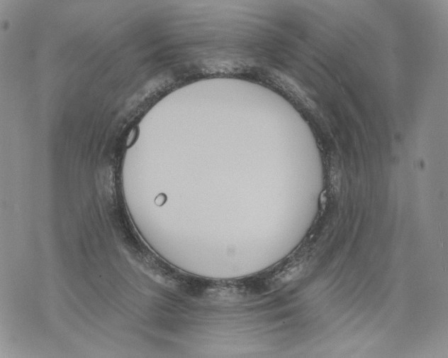 X0000071770211200607282221