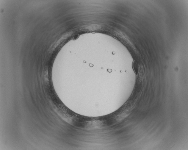 X0000071770212200607282221