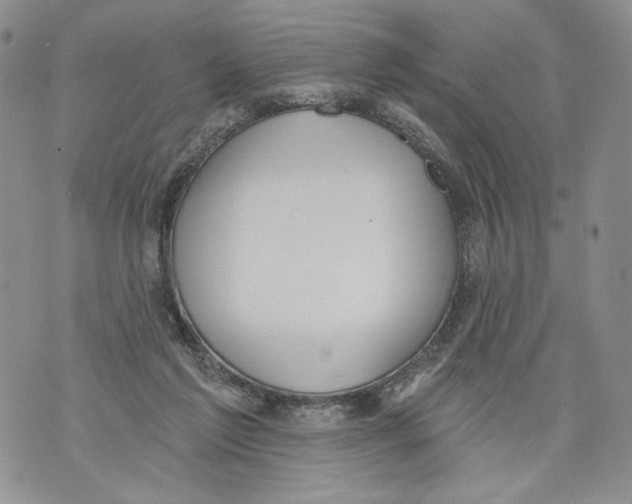 X0000071770213200607282221