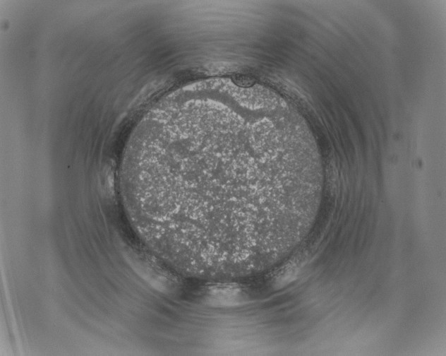 X0000071770214200607282221