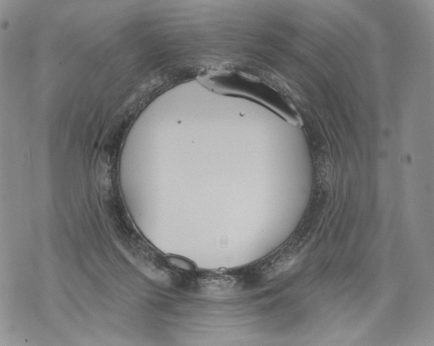 X0000071770215200607282221