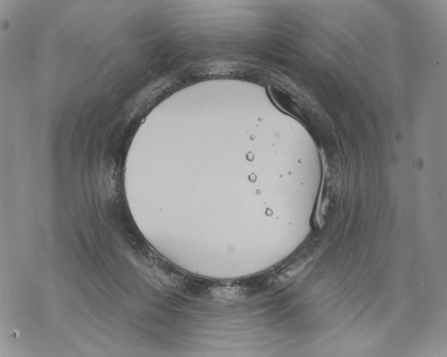 X0000071770216200607282221