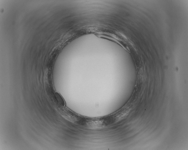 X0000071770217200607282221