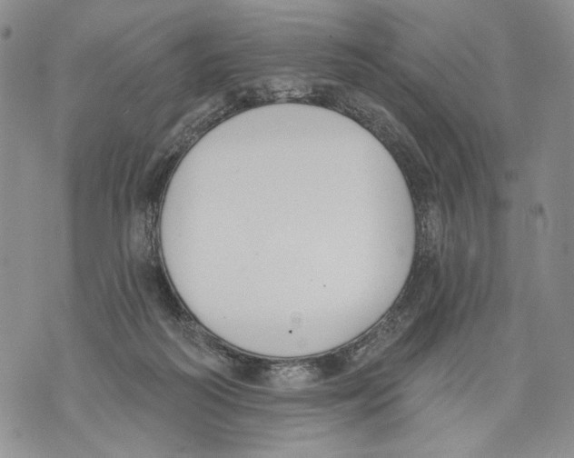 X0000071770218200607282221