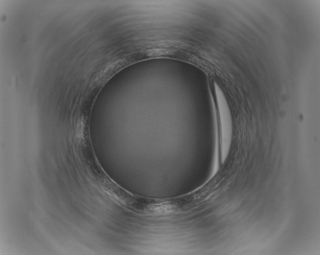 X0000071770219200607282221