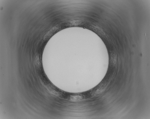 X0000071770220200607282221