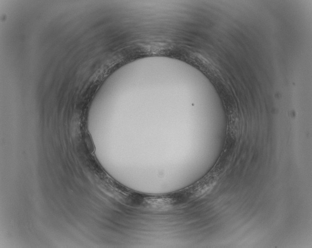 X0000071770221200607282221