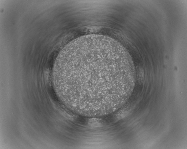 X0000071770222200607282221