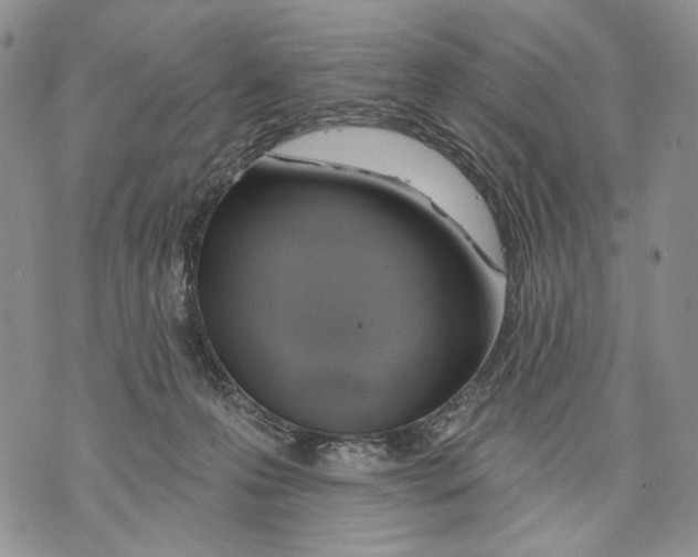 X0000071770223200607282221