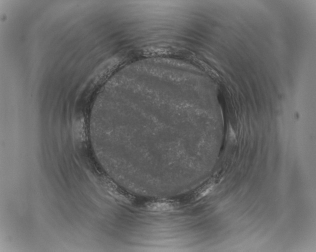 X0000071770224200607282221