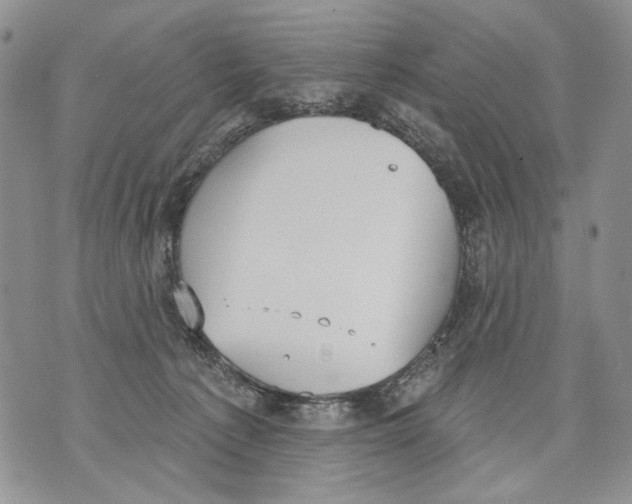 X0000071770225200607282221