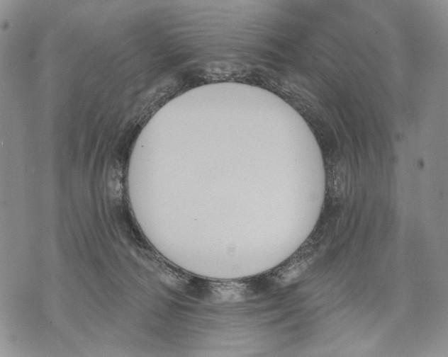 X0000071770226200607282221