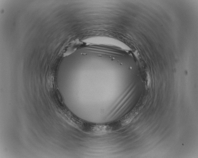 X0000071770227200607282221