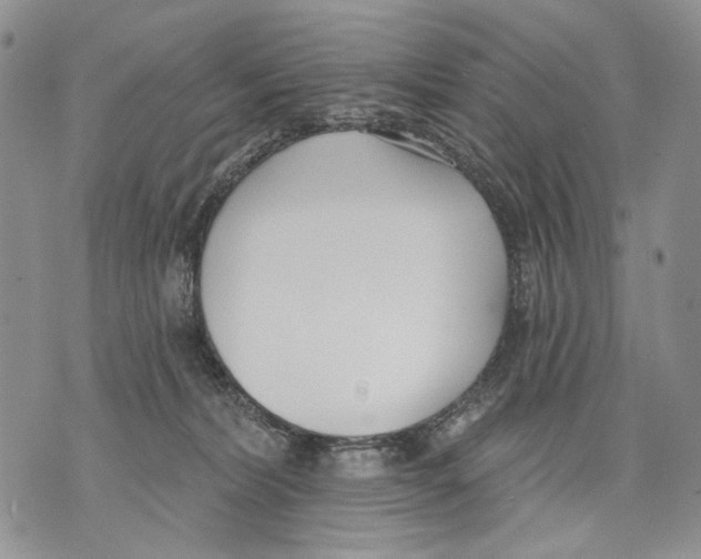 X0000071770228200607282221