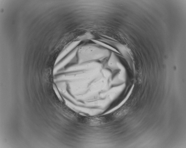 X0000071770229200607282221