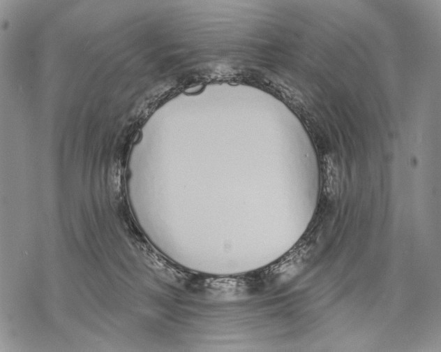 X0000071770230200607282221