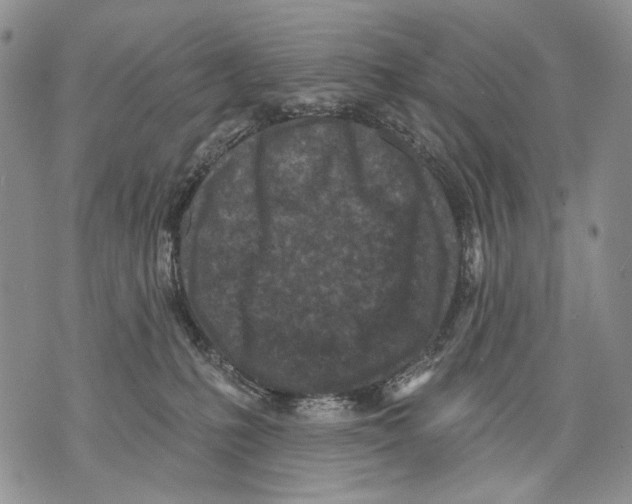 X0000071770231200607282221