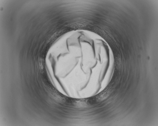 X0000071770232200607282221