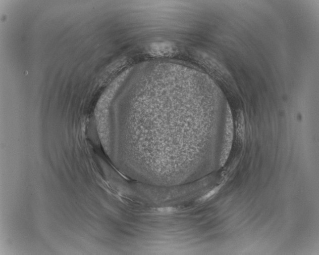 X0000071770233200607282221