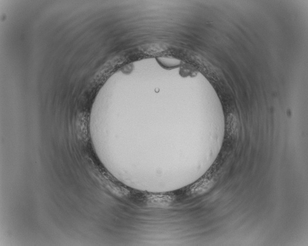 X0000071770234200607282221